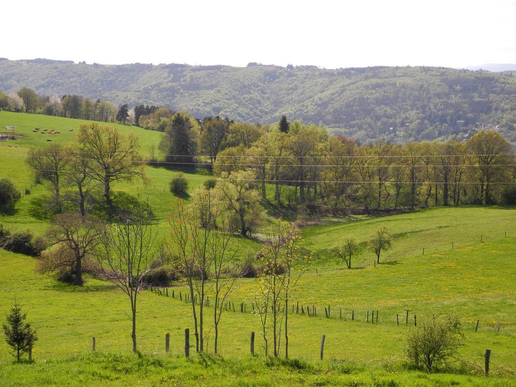 Le Plateau De La Danse Saint-Victor-sur-Loire Exterior foto